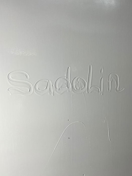 Открытие студии красок Sadolin Professional, Харьков - 21