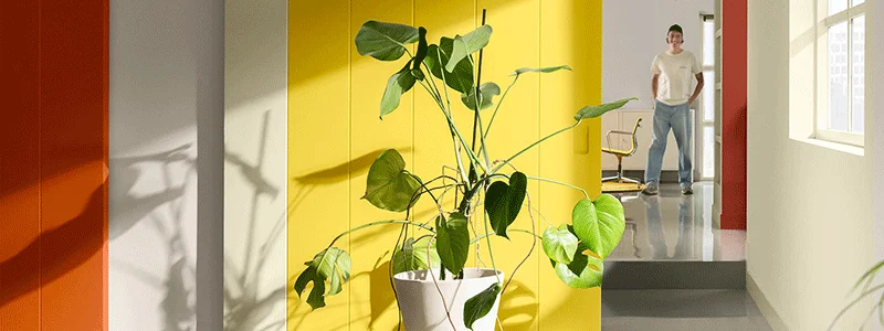 Якими були трендові кольори фарби для стін у 2025 році?