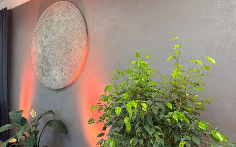 Открыта новая студия красок Sadolin Professional во Львове! - 16