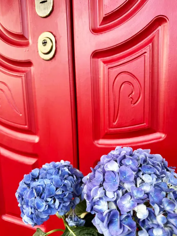 Фарба EasyCare Wood&Metal - реставрація дверей після МДФ-плівки - 5