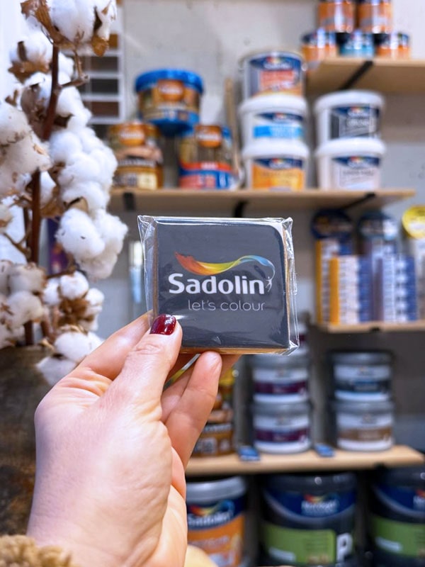 Sadolin Professional: открытие новой студии красок в Гатном - 14