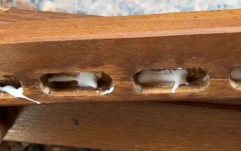 Клей Titebond Quick & Thick – ремонт раскладного стула ІКЕА - 7