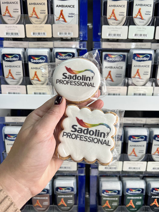 Открытие студии красок Sadolin Professional, Харьков - 18
