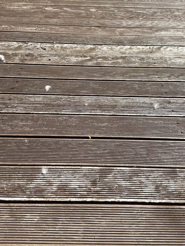 Продукти Pinotex™ - реставрація тераси - 3